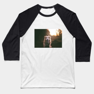 Border Collie Dream Baseball T-Shirt